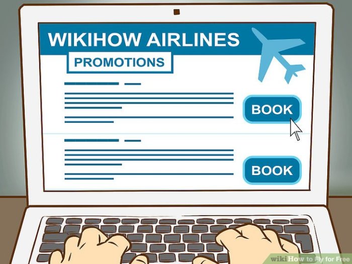 Fly wikihow step